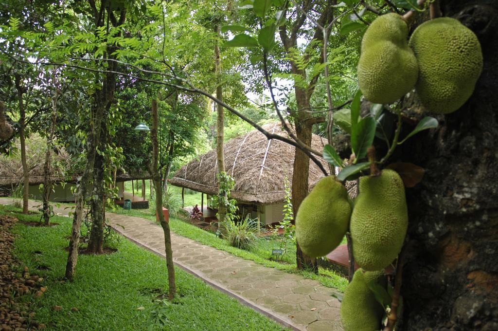 Spice Village Thekkady - A Cgh Earth Experience Exteriér fotografie