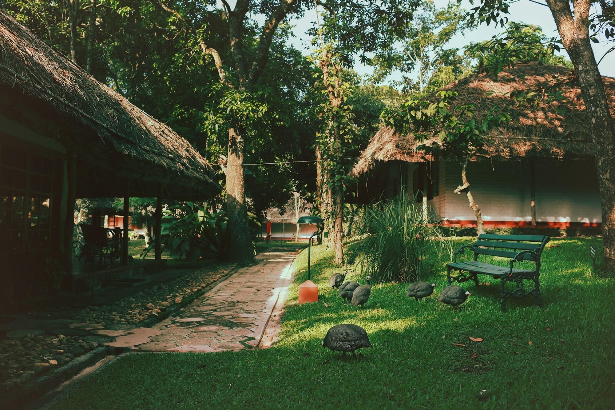 Spice Village Thekkady - A Cgh Earth Experience Exteriér fotografie