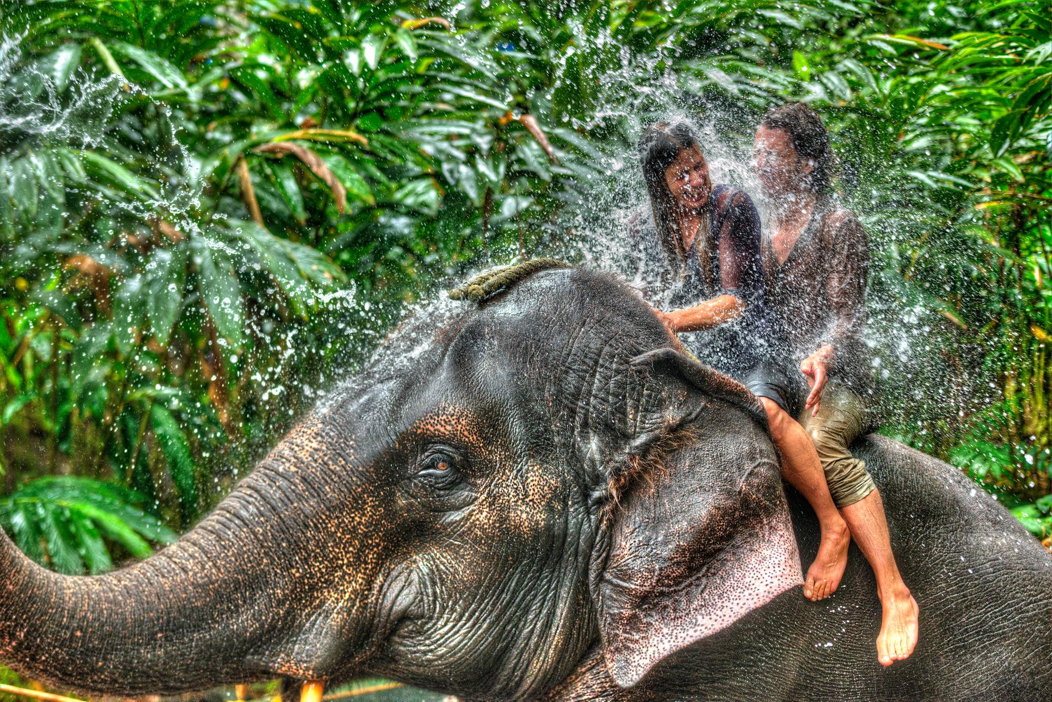 Spice Village Thekkady - A Cgh Earth Experience Exteriér fotografie